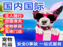 赤峰空运公司国际宠物托运 【国